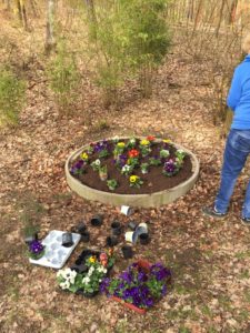 Blumen im Wildgehege Herborn