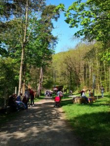 Herrliches Wetter im Wildgehege Herborn