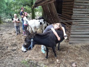 Ferienspaß im Wildgehege - Unsere Esel genießen die Streicheleinheiten