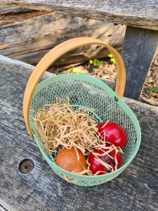 Ein Körbchen voller Eier
